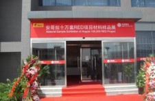 藝高公司參加安哥拉十萬套社會(huì)房材料展